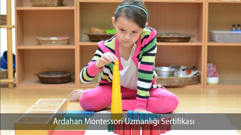 Ardahan Montessori Uzmanlığı Sertifikası Yorum Yap