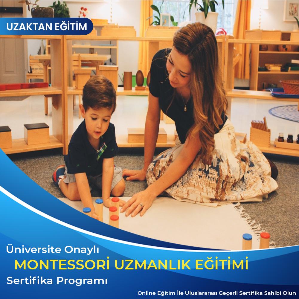 En iyi Montessori Eğitmenliği Eğitimi
