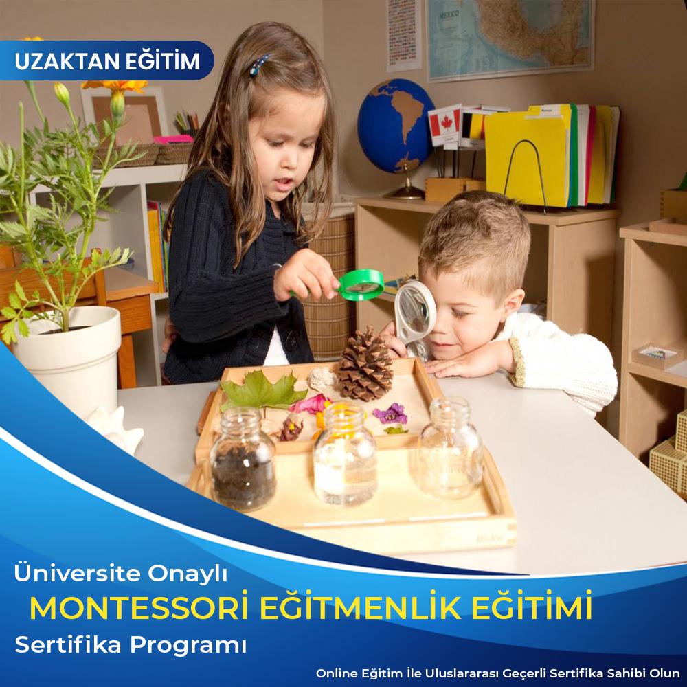 En Uygun Montessori Eğitimi Sertifika Programı