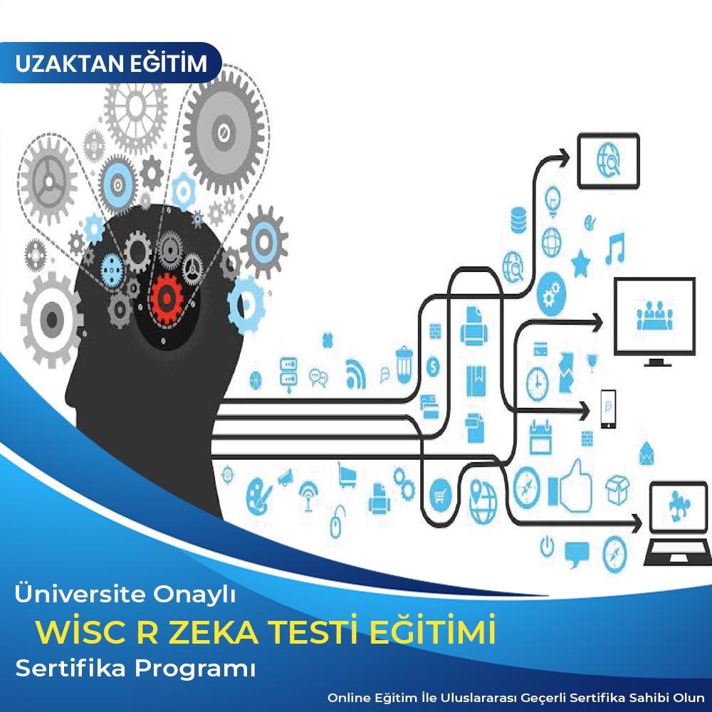 WiscR Zeka Testi Eğitimi Sertifikası