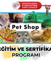 pet shop sertifikalı eğitimi edevlet üniversite onaylı