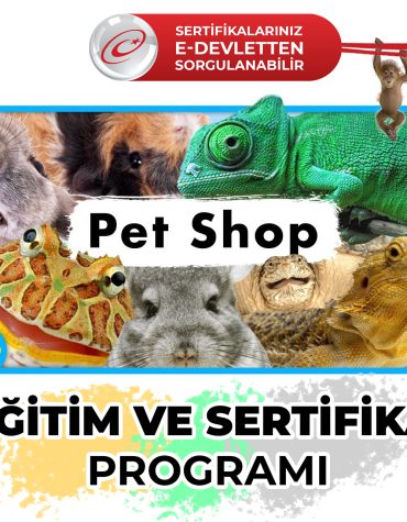 pet shop sertifikalı eğitimi edevlet üniversite onaylı