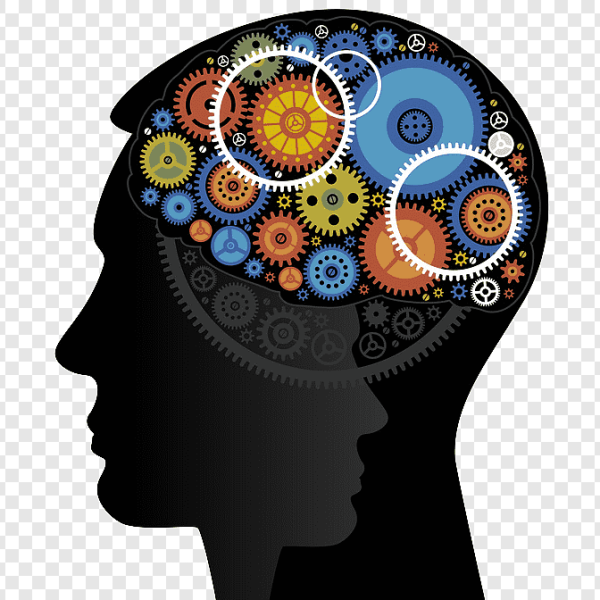 Bilişsel Davranışçı Terapi Eğitimi