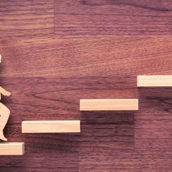 Profesyonel Yaşam Koçluğu Eğitimi